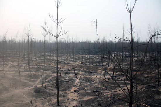 Тушение пожаров в Рязанской области 