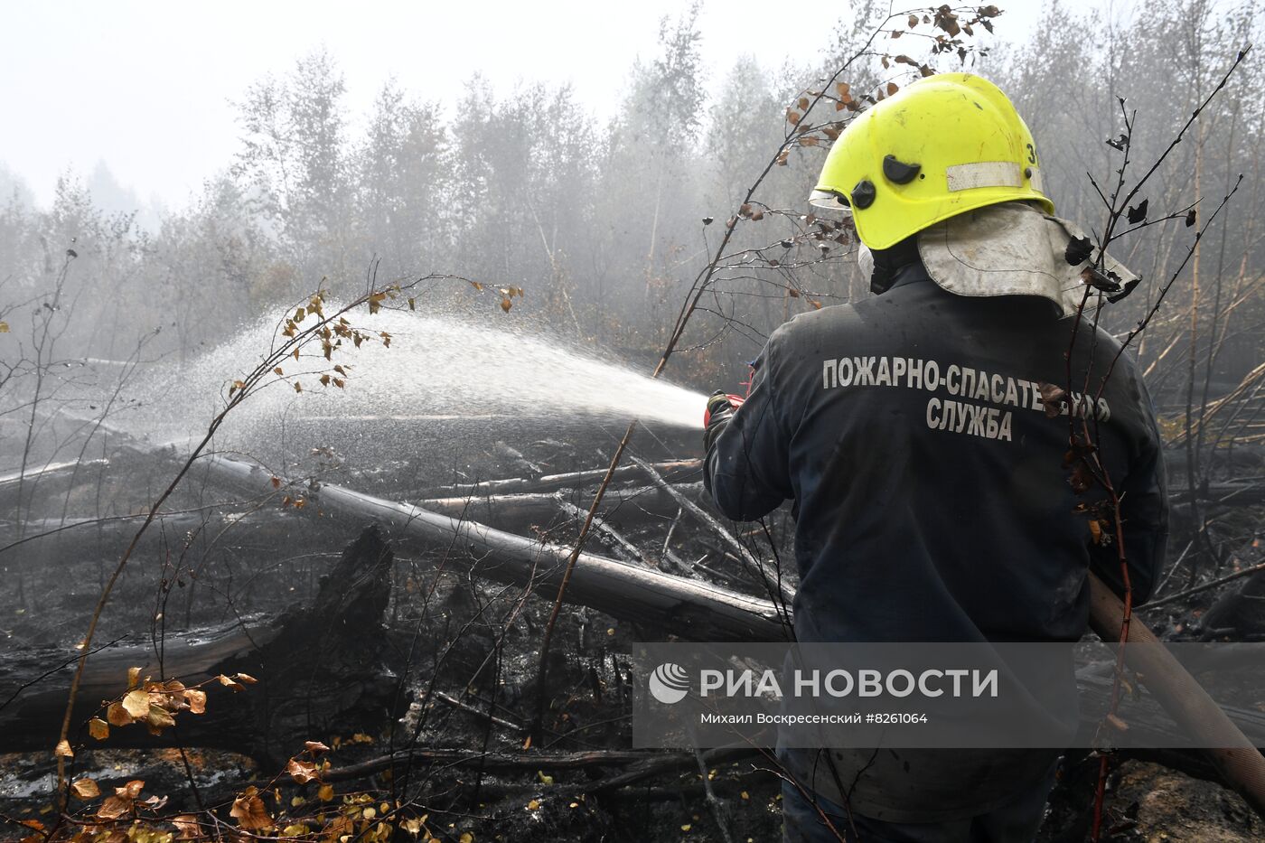 Тушение пожаров в Рязанской области