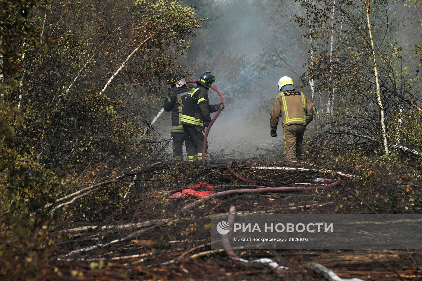 Тушение пожаров в Рязанской области