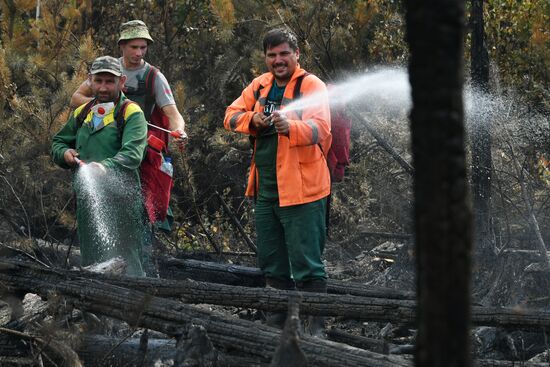 Тушение пожаров в Рязанской области