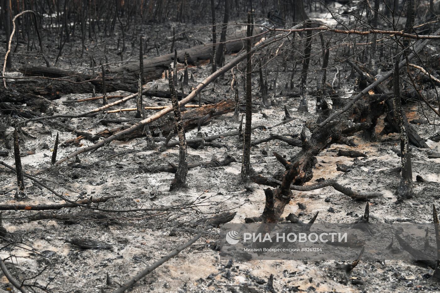 Тушение пожаров в Рязанской области