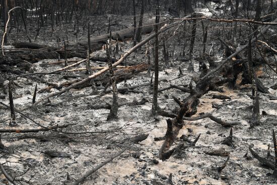 Тушение пожаров в Рязанской области