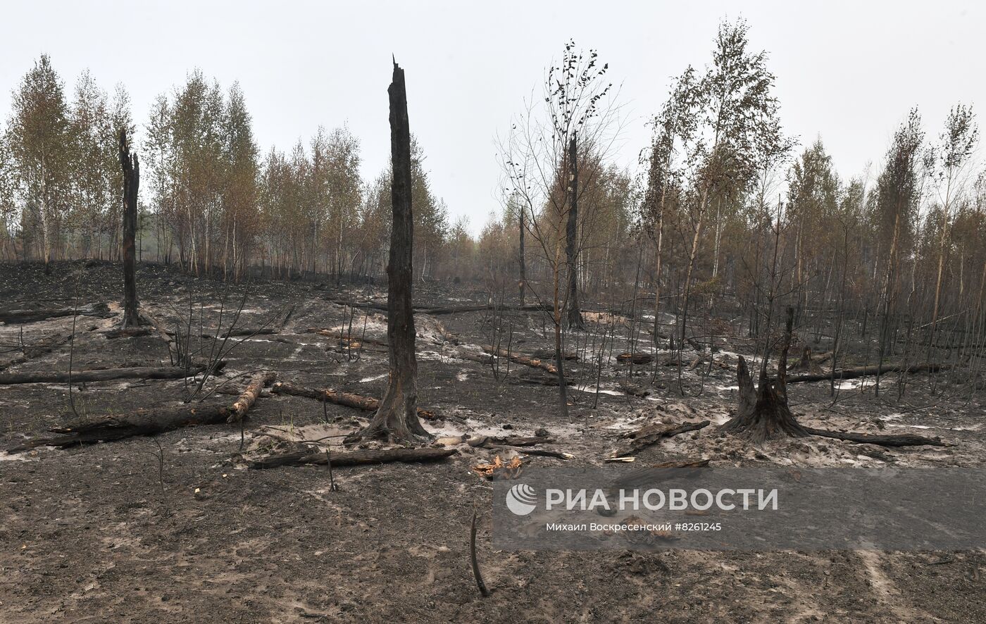 Тушение пожаров в Рязанской области