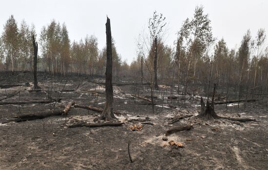 Тушение пожаров в Рязанской области