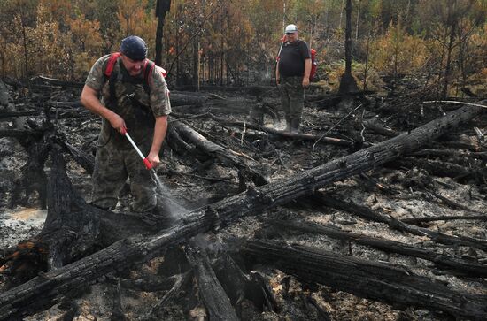 Тушение пожаров в Рязанской области