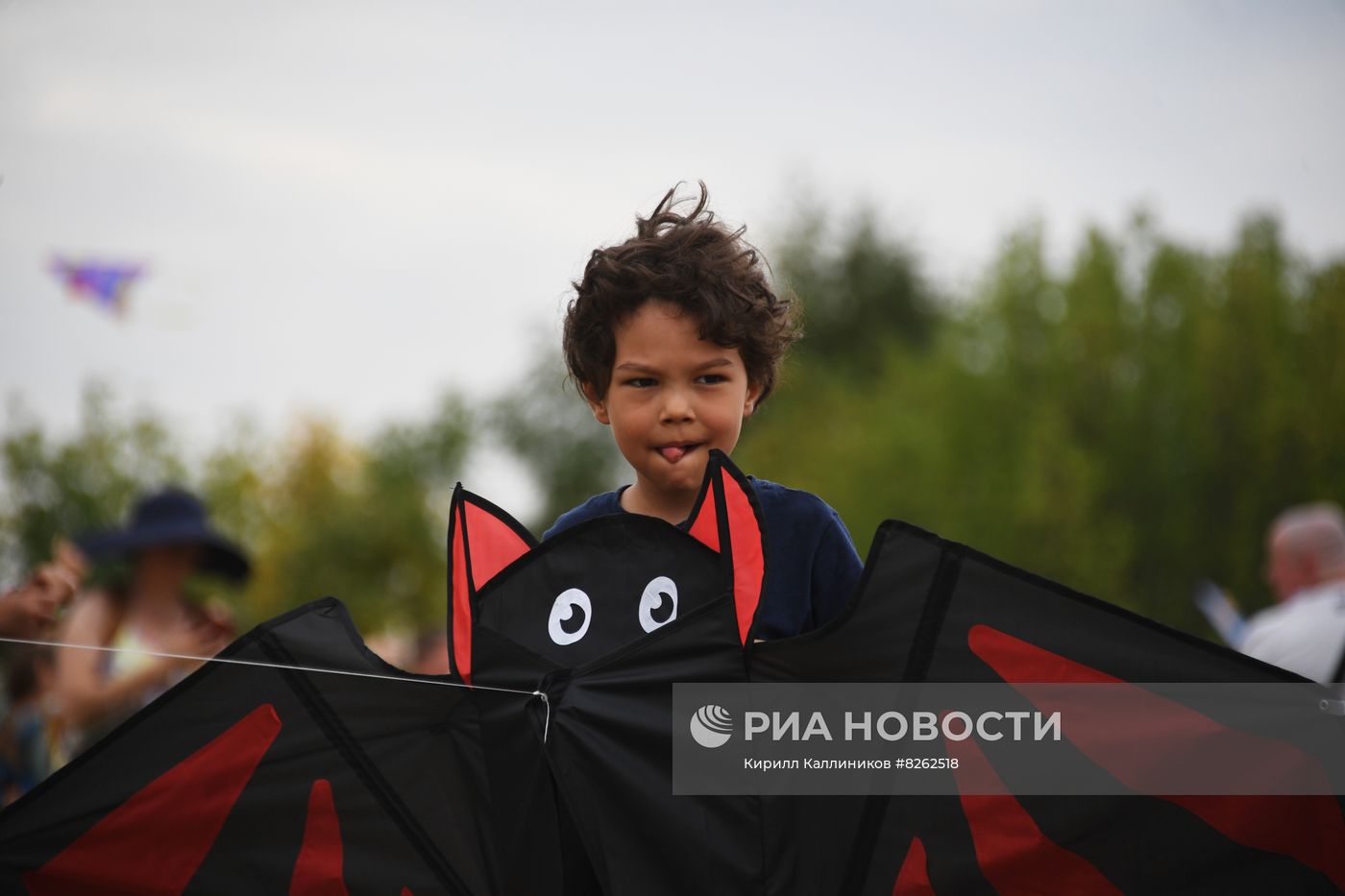 Фестиваль воздушных змеев "Пестрое небо"