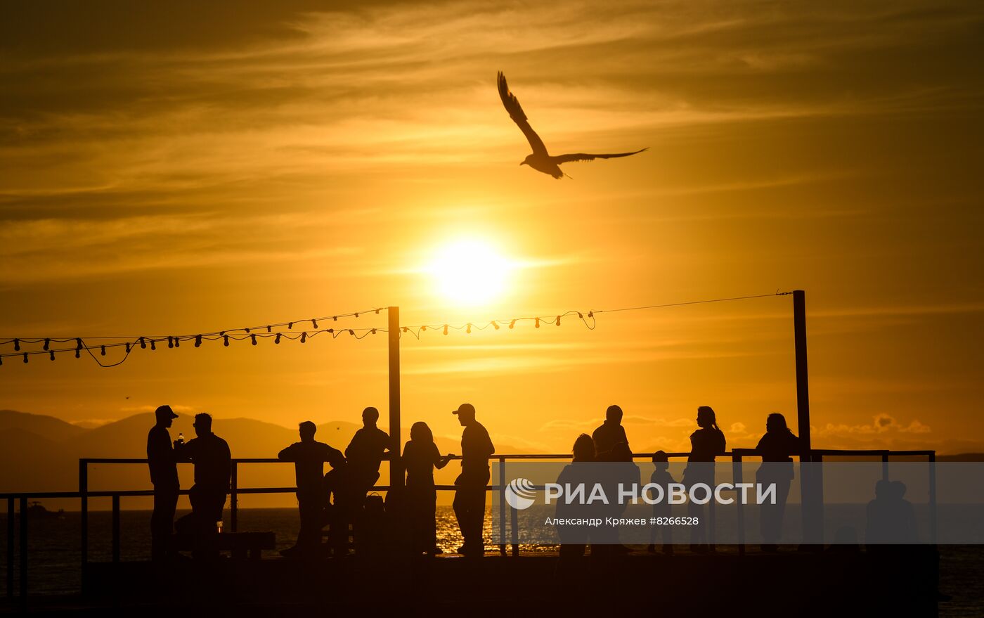 Города России. Владивосток