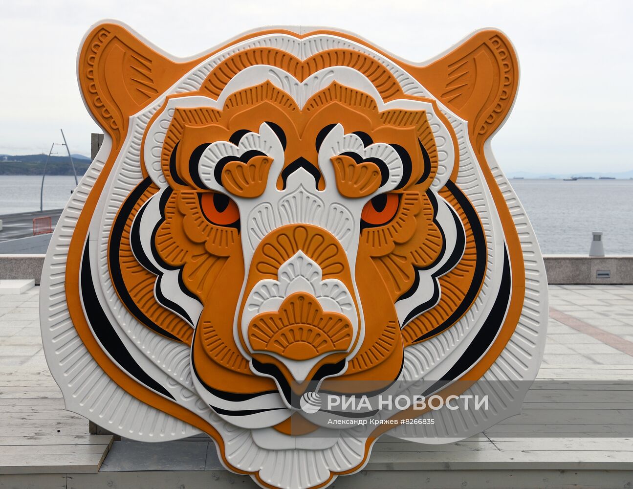 Подготовка к ВЭФ-2022