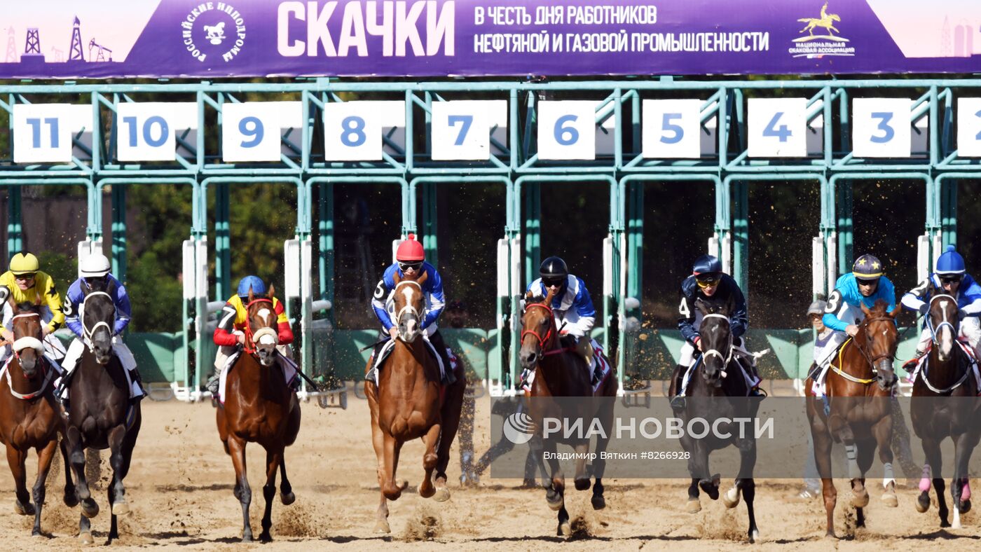 Закрытие скакового сезона на Московском ипподроме