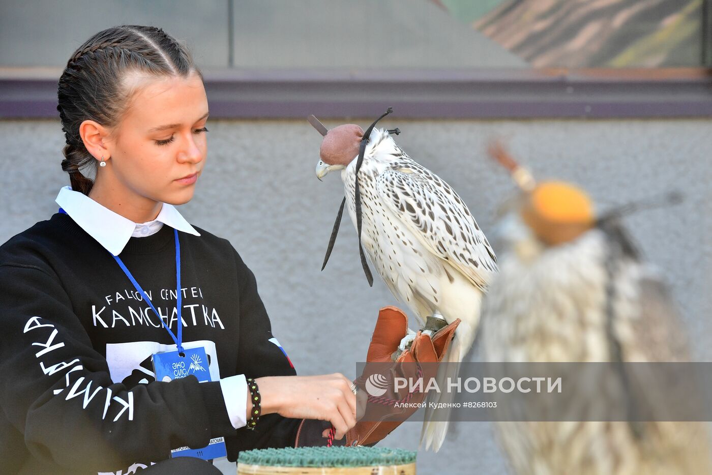 Соколиный центр "Камчатка"