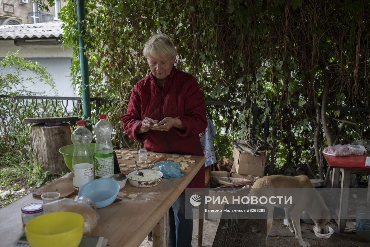 Повседневная жизнь в освобожденном Лисичанске в ЛНР