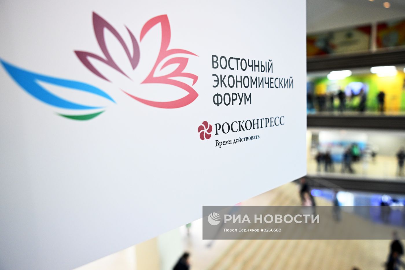ВЭФ-2022. Работа форума