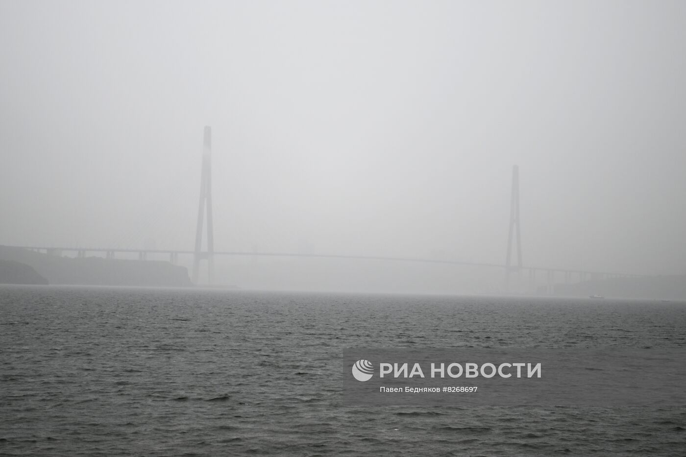 ВЭФ-2022. Работа форума