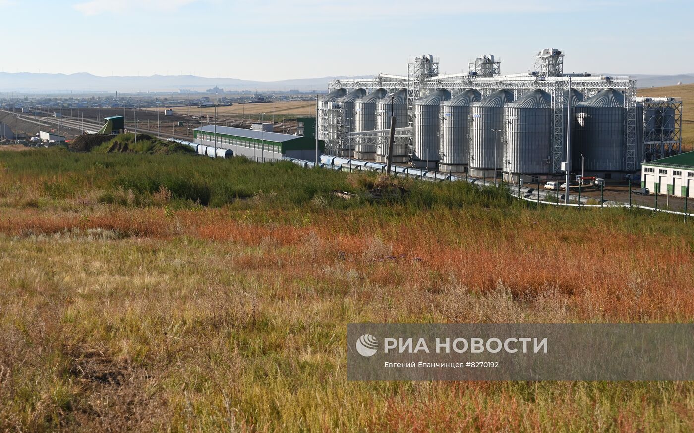 Забайкальский зерновой терминал