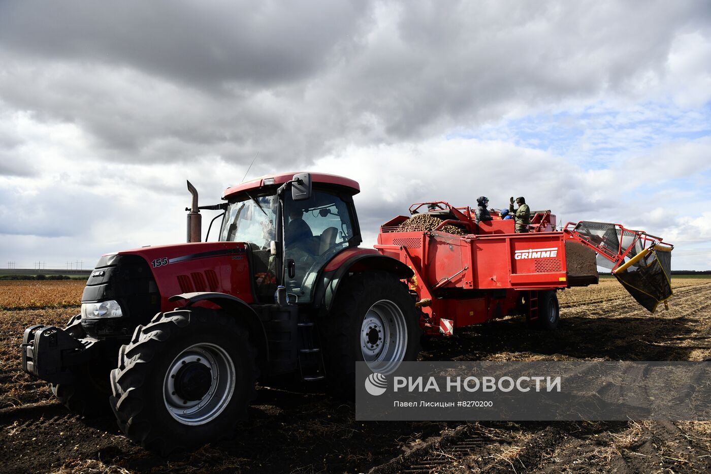 Уборка овощей в Свердловской области