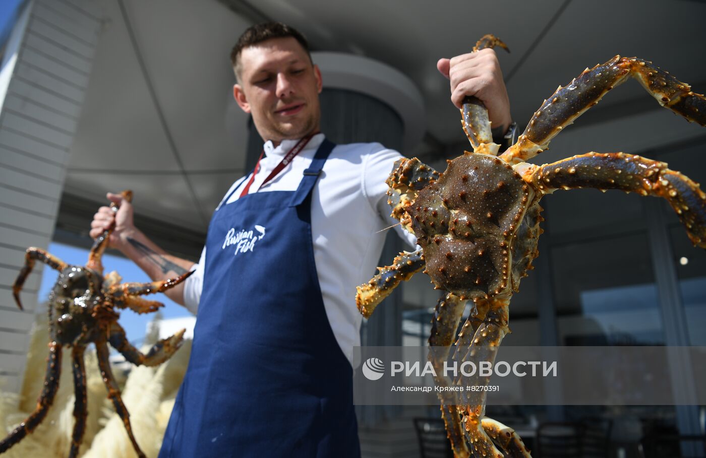 ВЭФ-2022. Работа форума