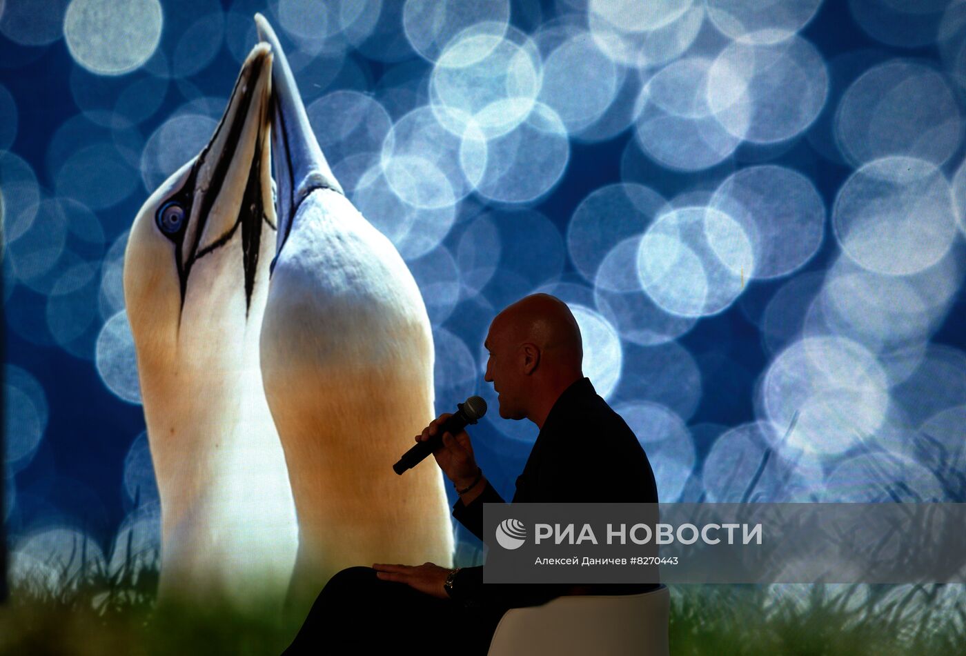 ВЭФ-2022. Работа форума