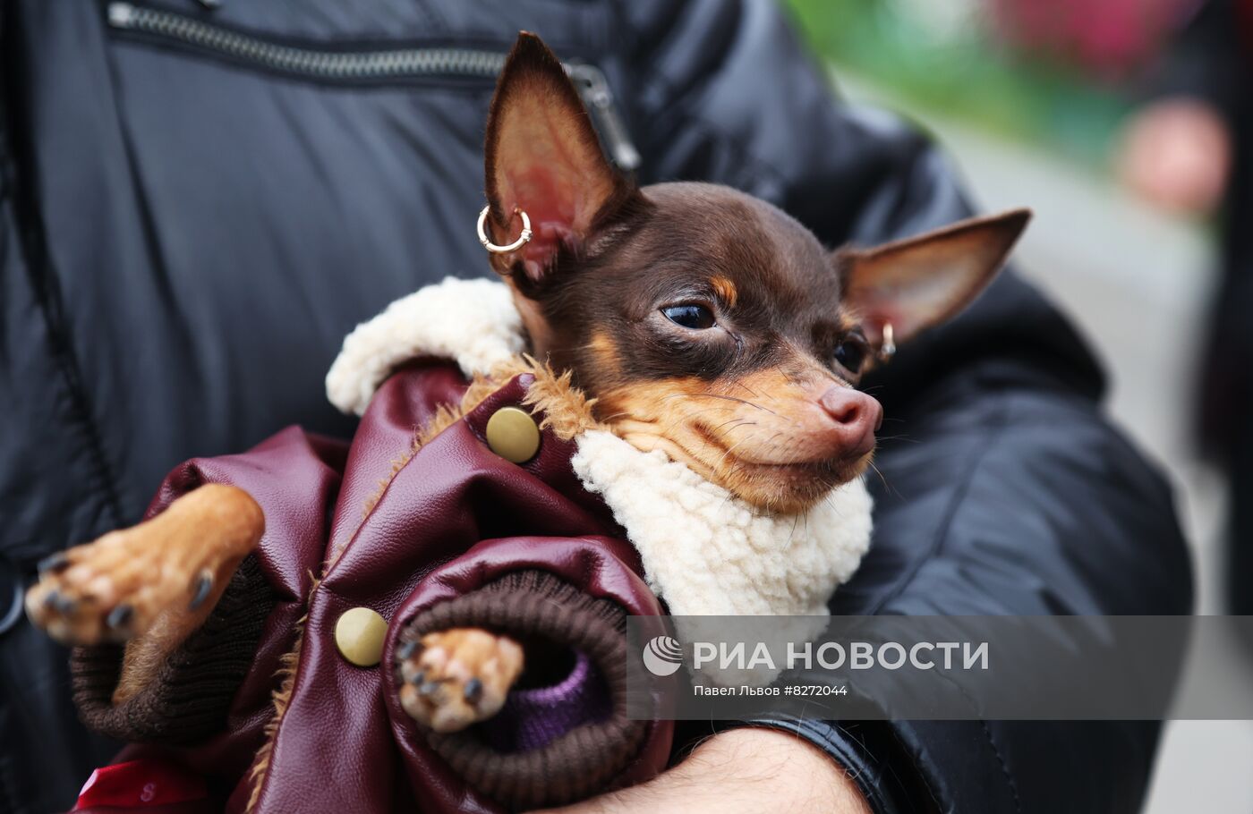 Саамские игры в Мурманской области