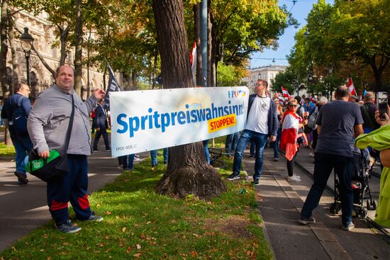 Акция протеста против инфляции в Вене