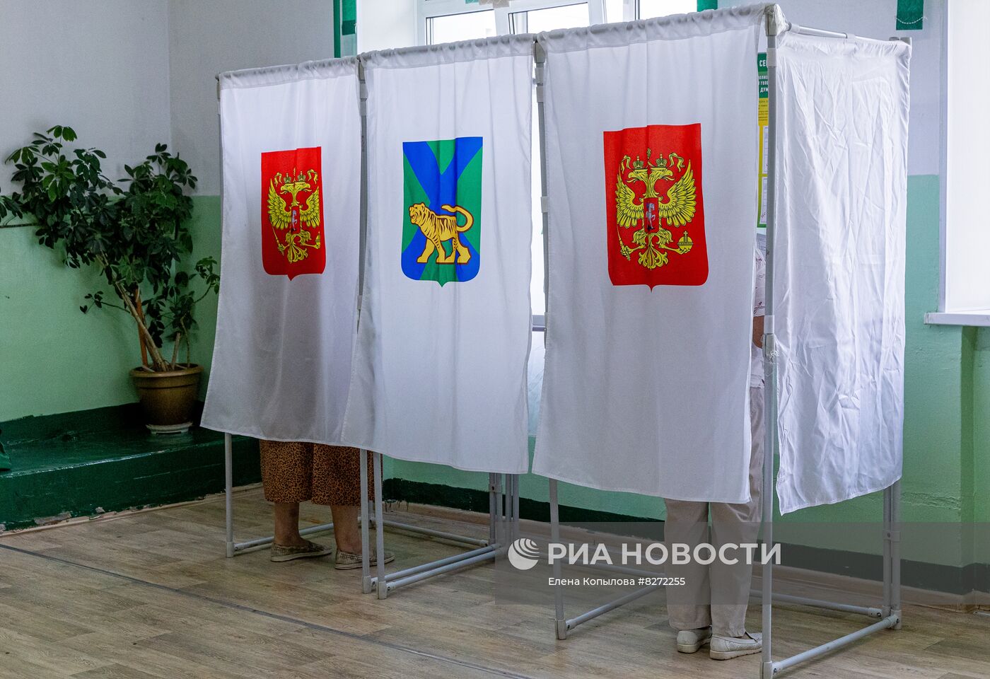 Единый день голосования в России