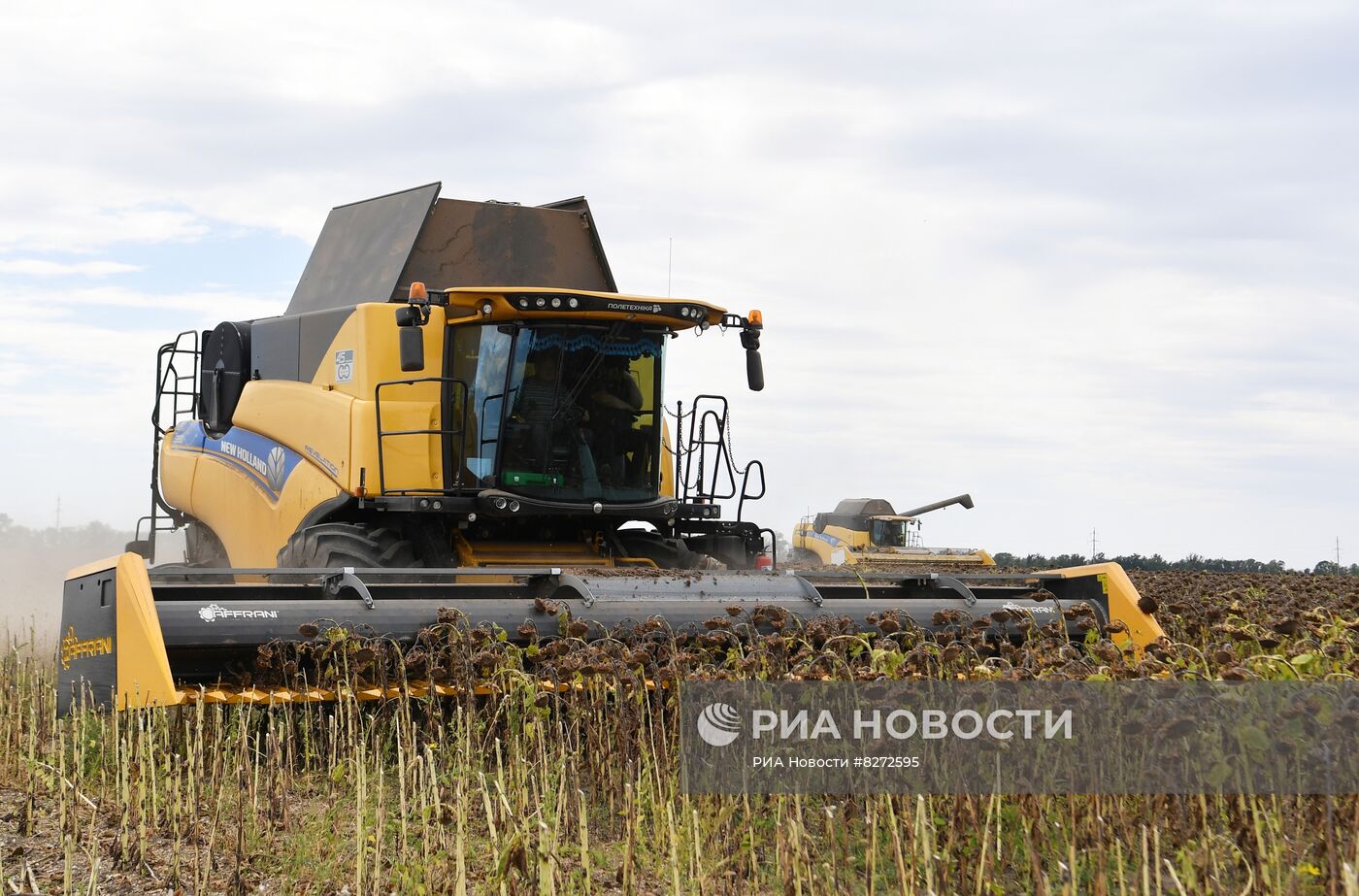 Уборка урожая подсолнечника в Запорожской области