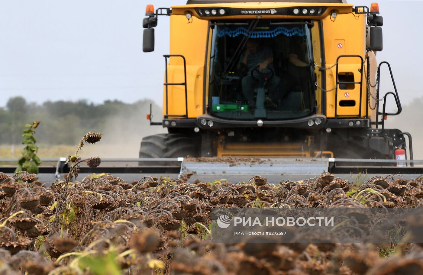 Уборка урожая подсолнечника в Запорожской области