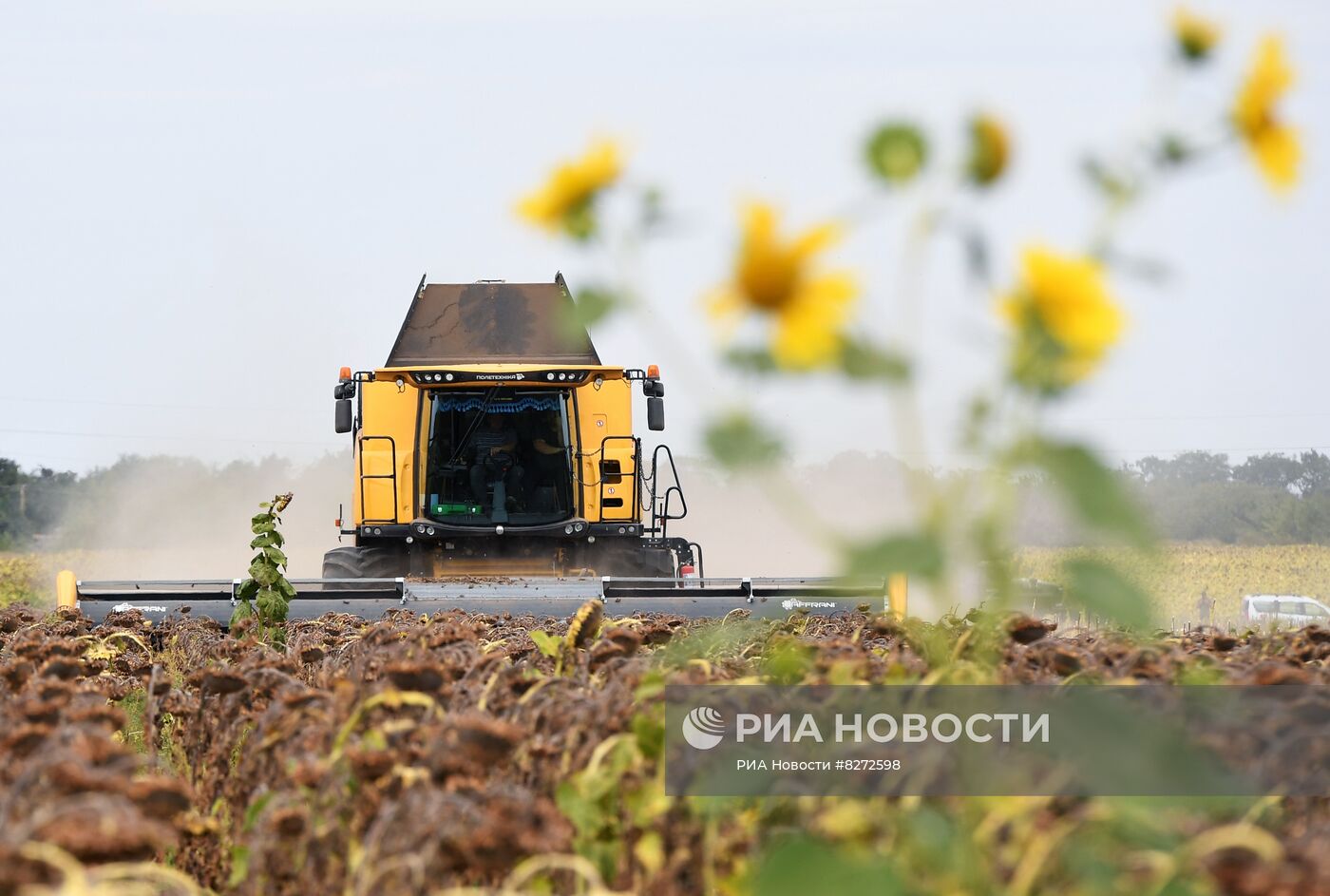 Уборка урожая подсолнечника в Запорожской области