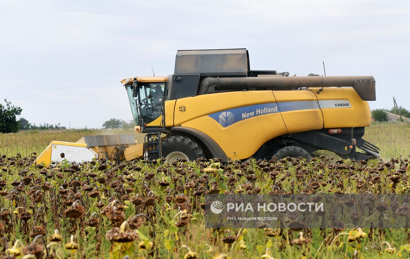 Уборка урожая подсолнечника в Запорожской области