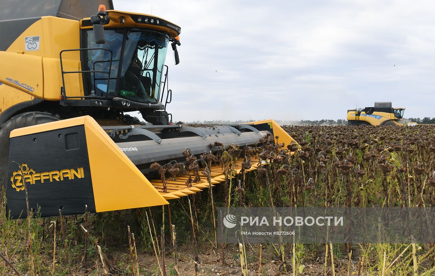 Уборка урожая подсолнечника в Запорожской области | РИА Новости Медиабанк