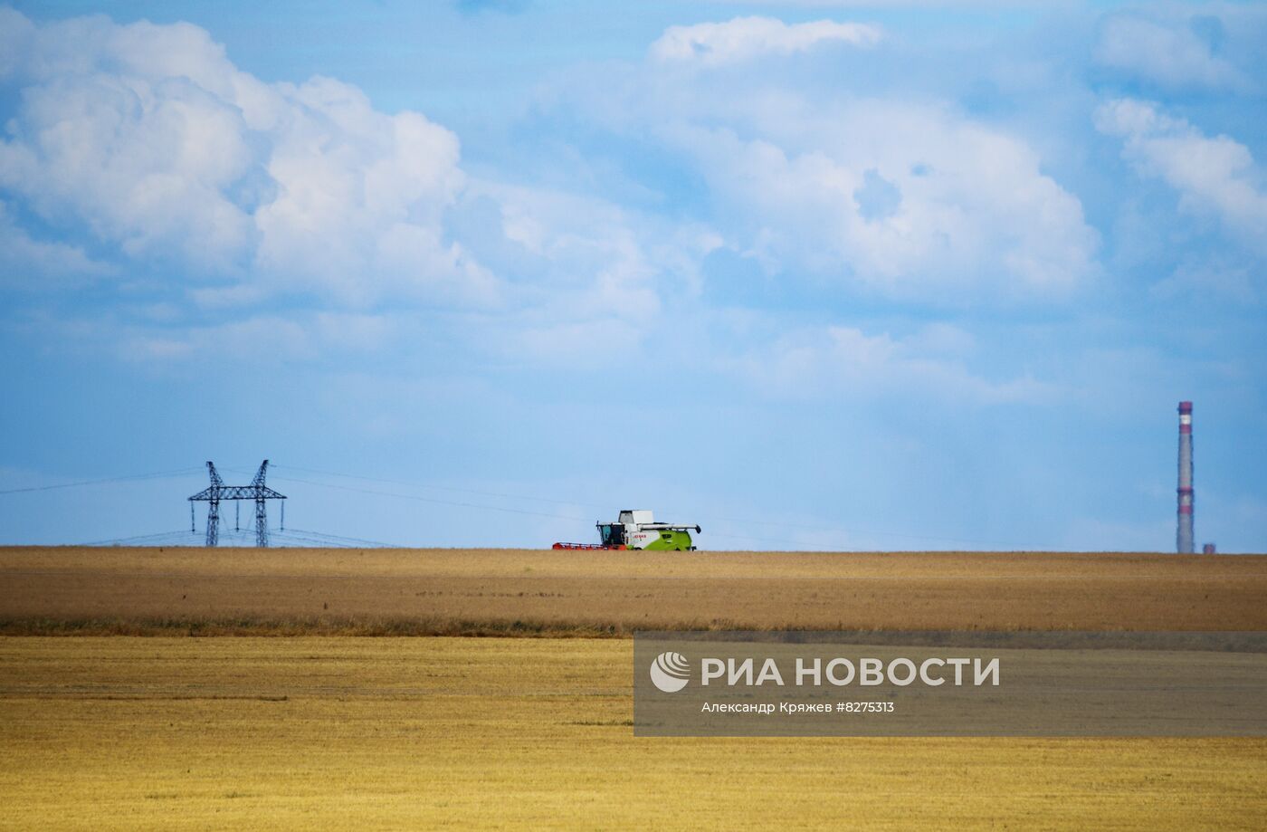 Сбор урожая рапса и пшеницы в Новосибирской области