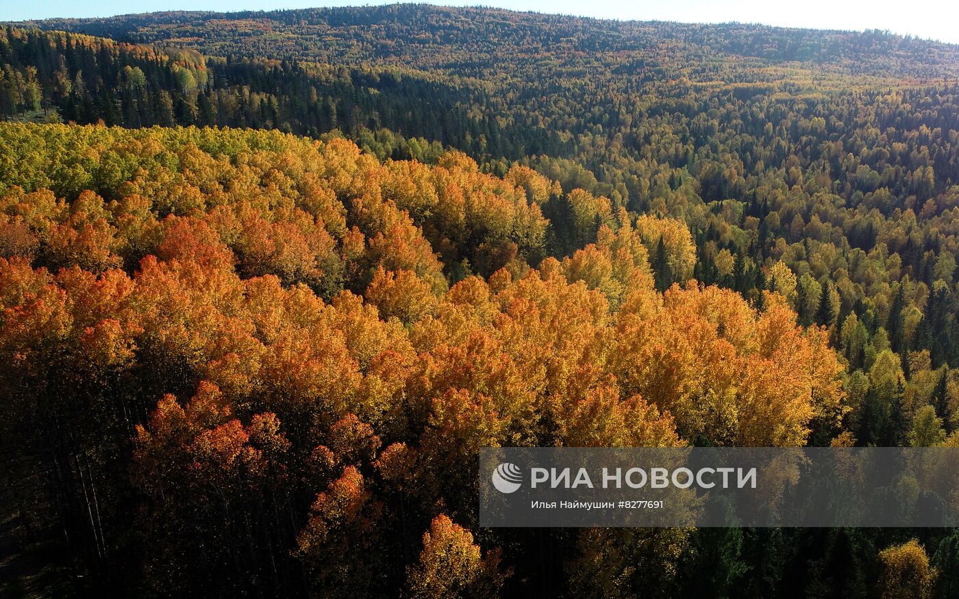 Осень в Красноярском крае