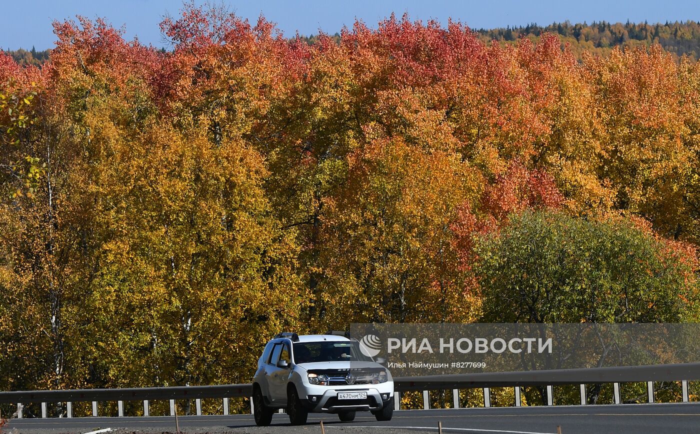 Осень в Красноярском крае