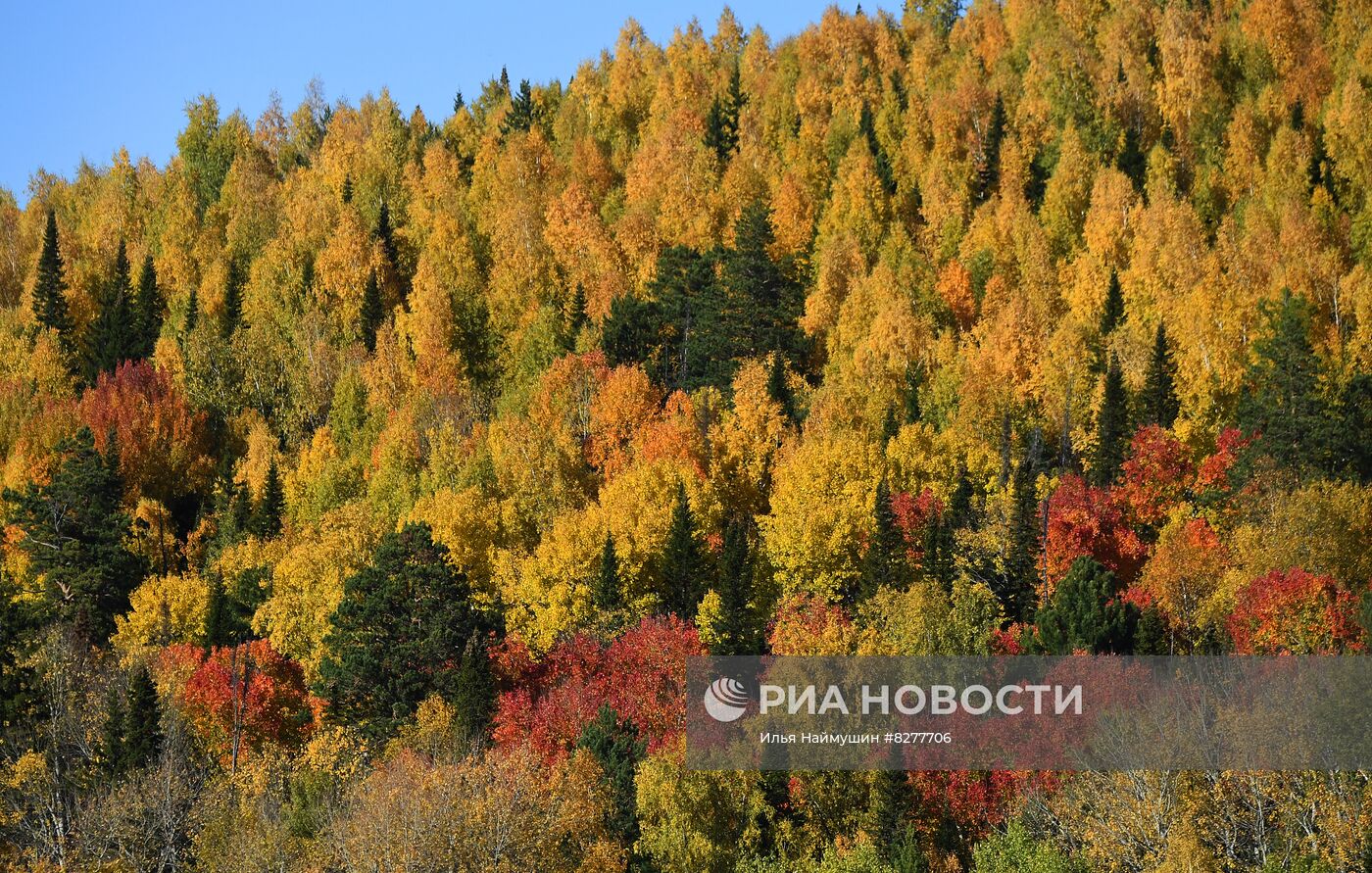 Осень в Красноярском крае