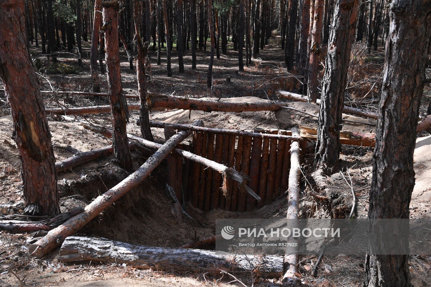 Казачьи подразделения в районе Красного Лимана в ДНР