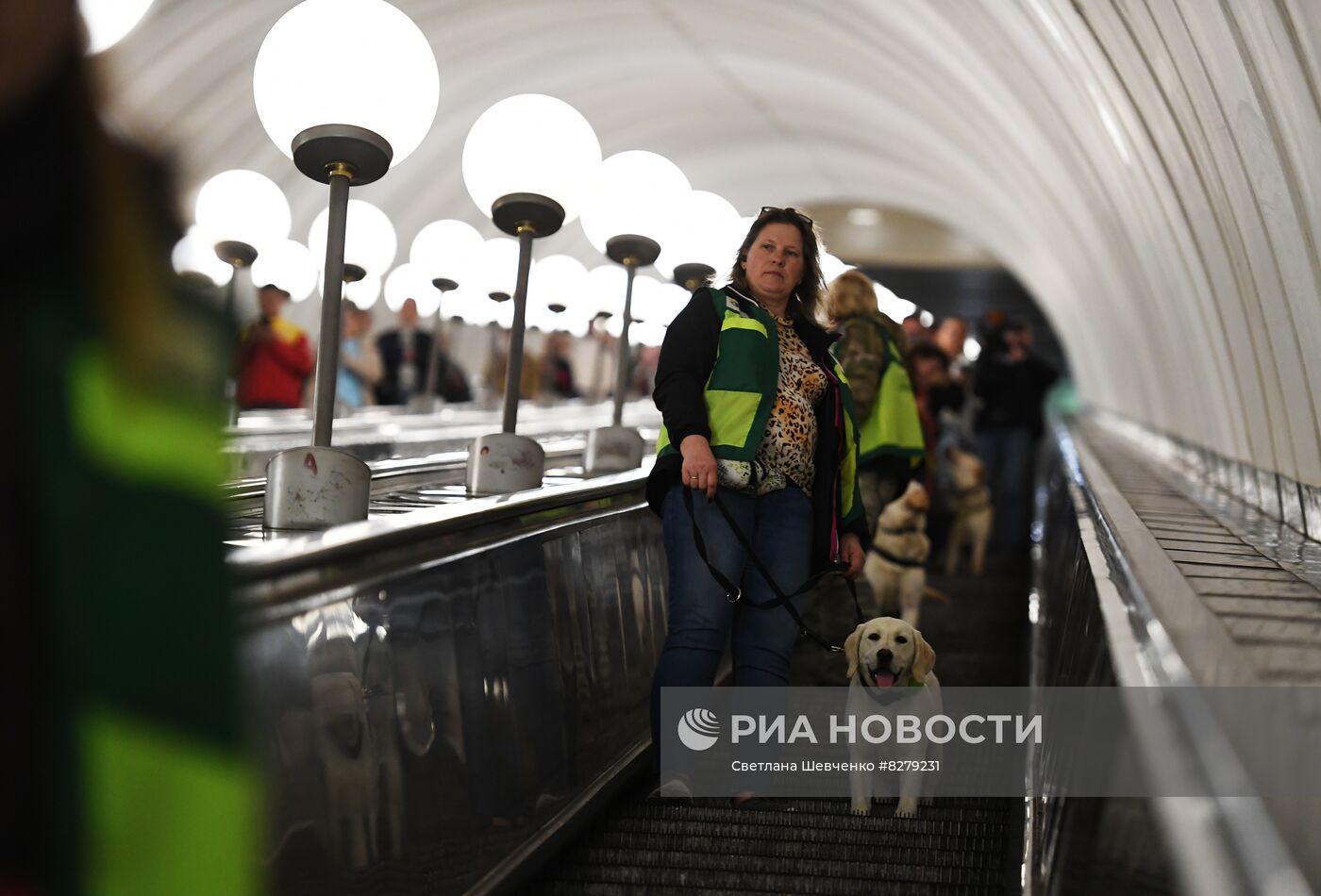 Подготовка собак - проводников 