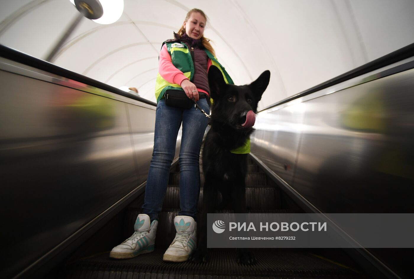 Подготовка собак - проводников 