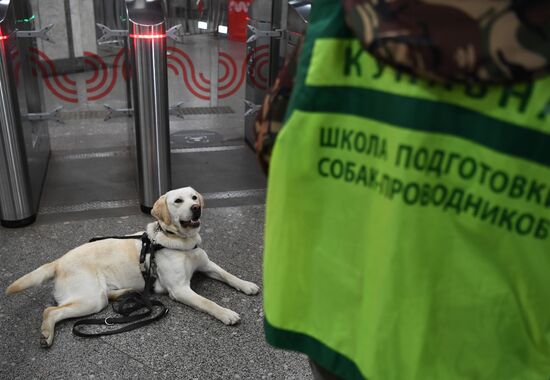 Подготовка собак - проводников 