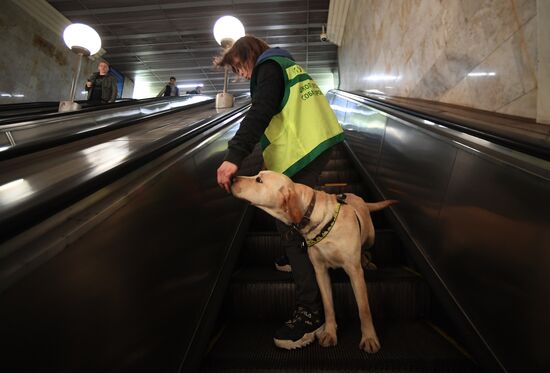 Подготовка собак - проводников 