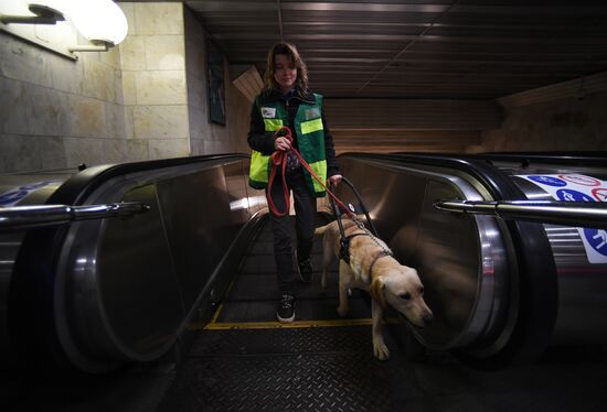 Подготовка собак - проводников 