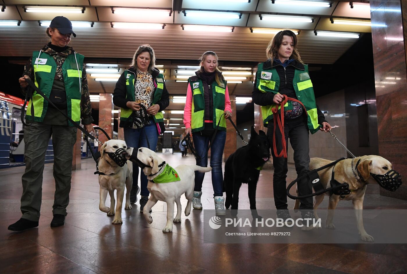 Подготовка собак - проводников 