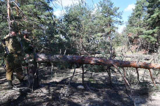 Казачьи подразделения в районе Красного Лимана в ДНР