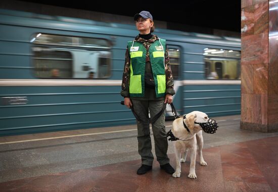 Подготовка собак - проводников 