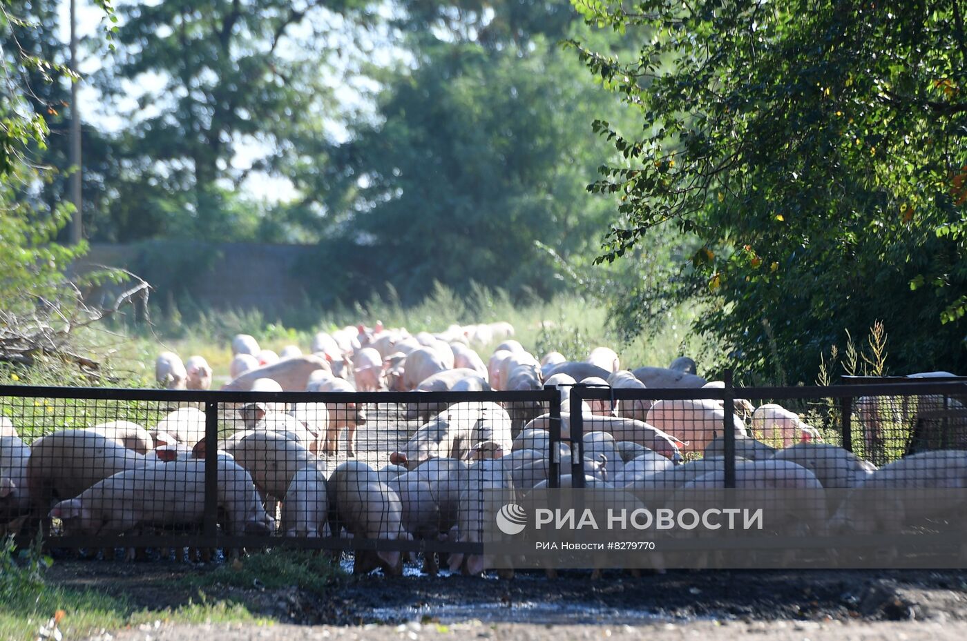 Последствия обстрелов в Запорожской области