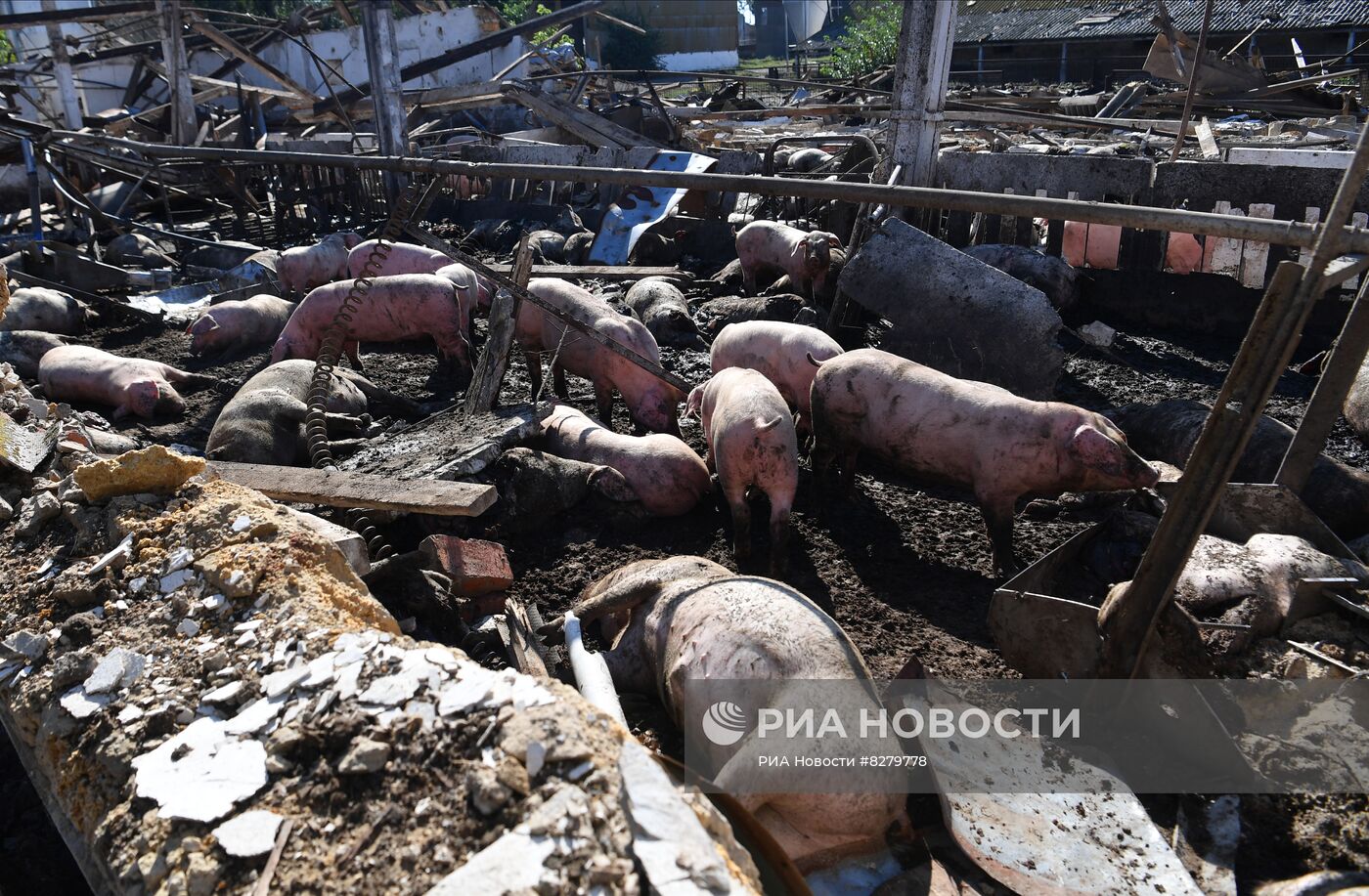 Последствия обстрелов в Запорожской области