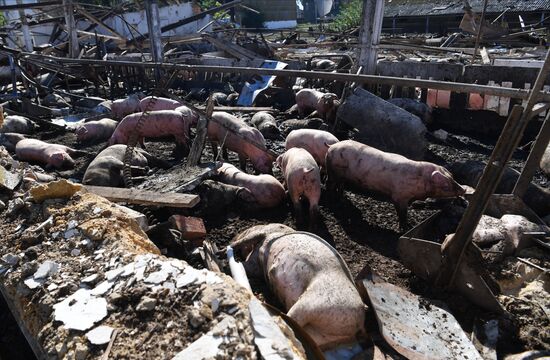 Последствия обстрелов в Запорожской области