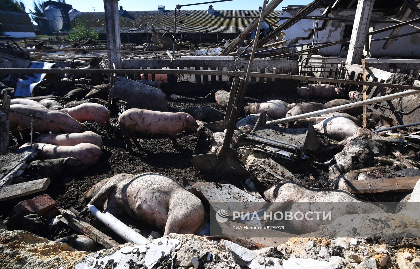 Последствия обстрелов в Запорожской области