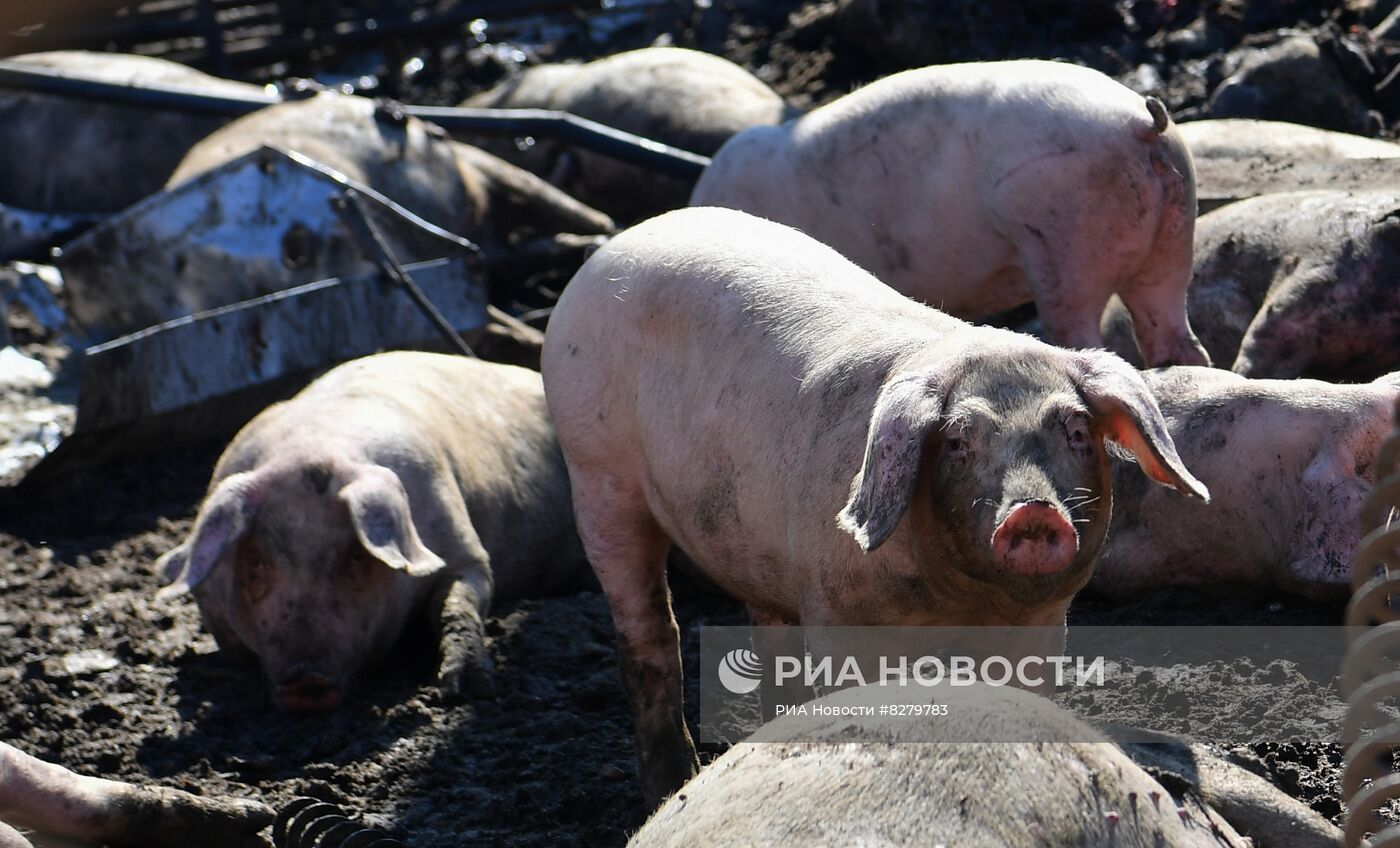 Последствия обстрелов в Запорожской области