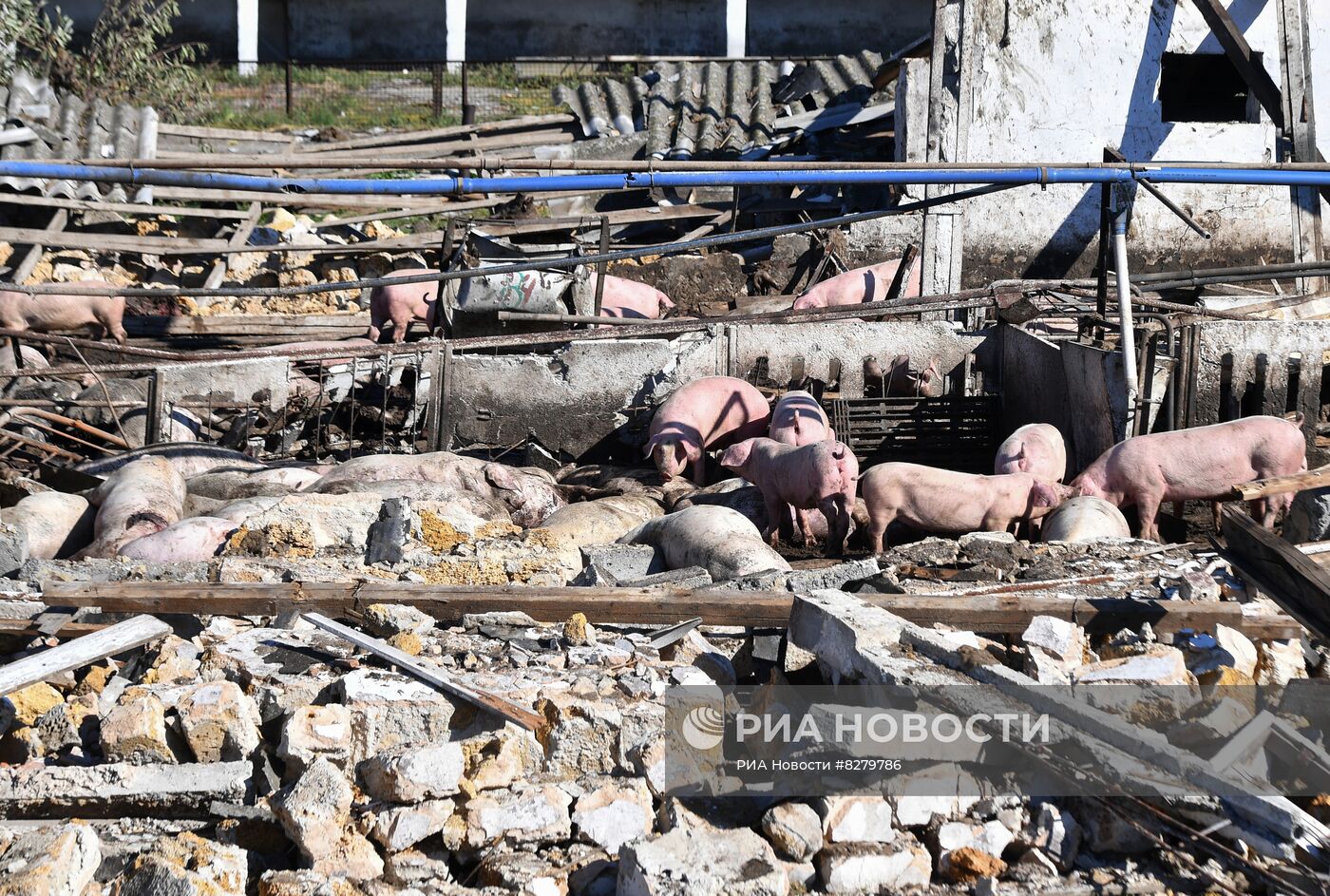 Последствия обстрелов в Запорожской области