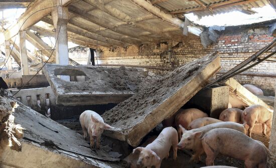 Последствия обстрелов в Запорожской области