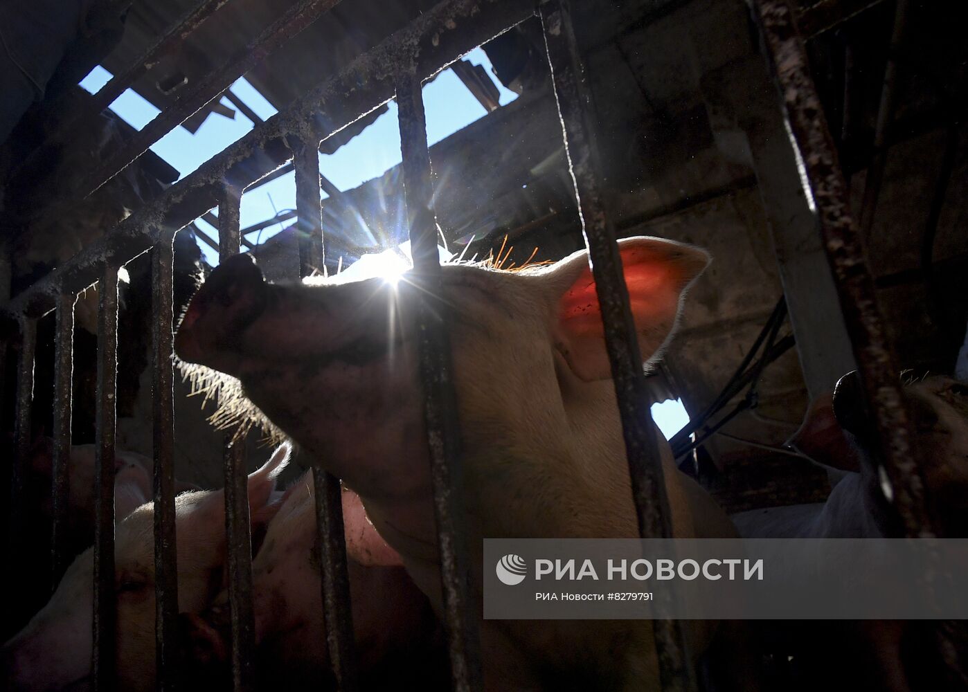 Последствия обстрелов в Запорожской области